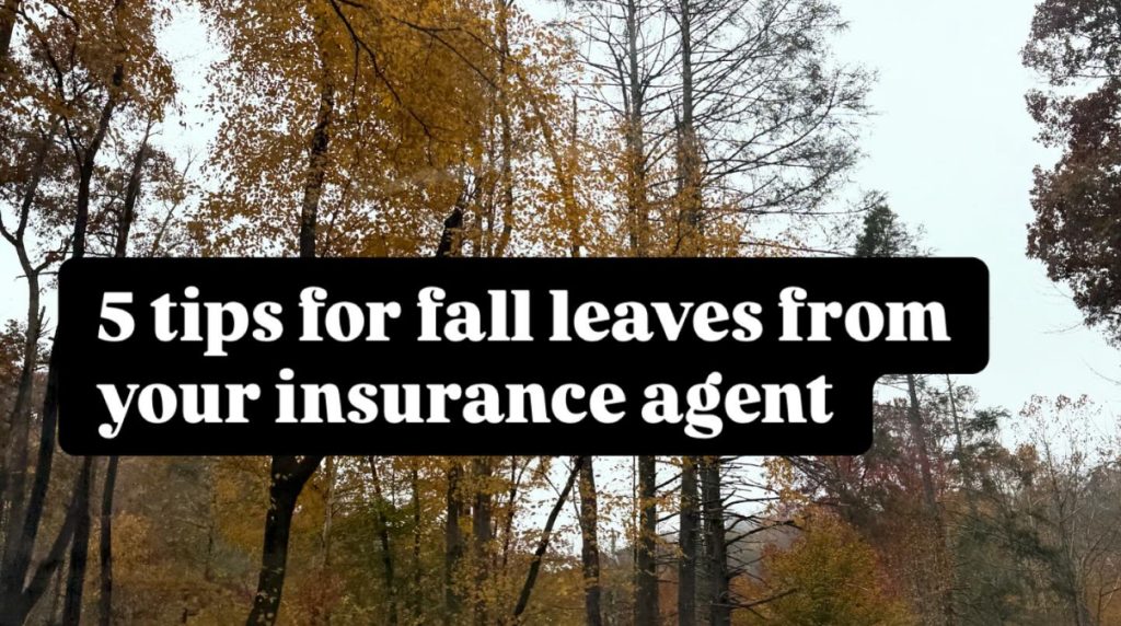 5 tips for fall leaves from your insurance agent